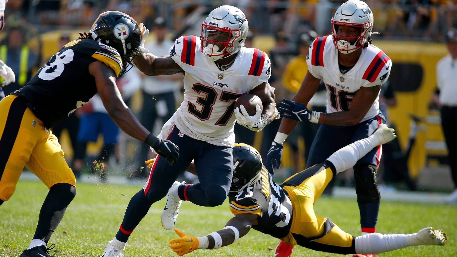 和貢獻顯然 和貢獻顯然